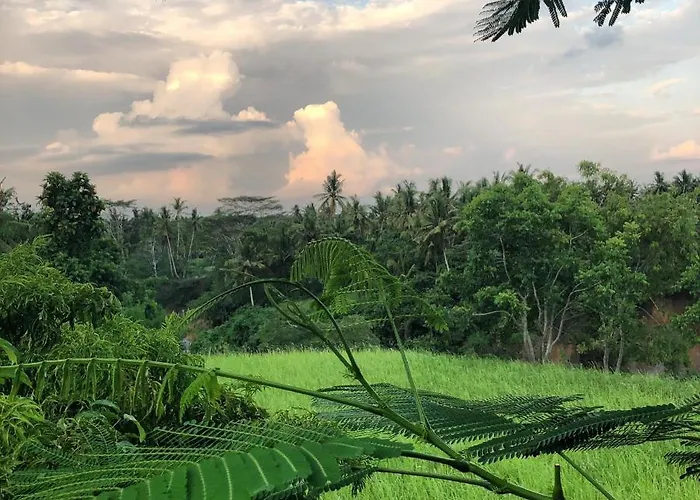 Sua Bali Lodge