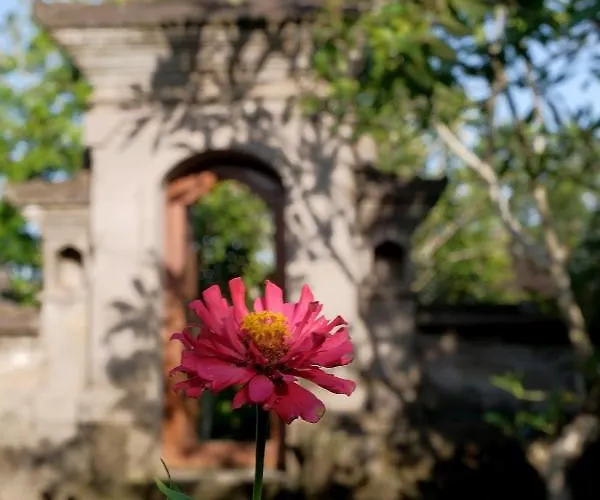 Lodge Sua Bali *